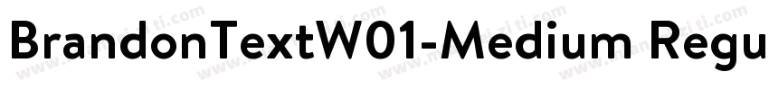 BrandonTextW01-Medium Regular字体转换